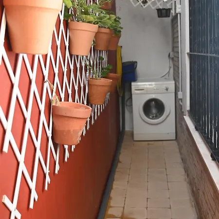 Apartment Bienvenidos A San Miguel